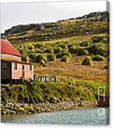 Falkland Island Farm #1 Canvas Print