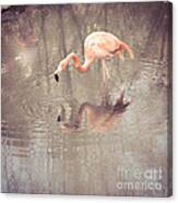 Flamingo #1 Canvas Print