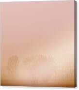 Foggy Morning #1 Canvas Print