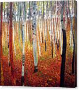 Forest Of Beech Trees #1 Canvas Print