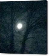 Fullmoon In Between The Trees  #1 Canvas Print