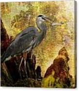 Great Blue Heron Morning Snack #1 Canvas Print