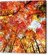 Great Smoky Mountains In Autumn #1 Canvas Print