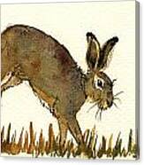 Hare #1 Canvas Print