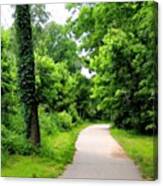 #hendersonville #greenway #nature #1 Canvas Print