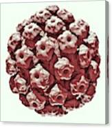 Human Papilloma Virus Particle #1 Canvas Print