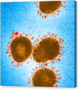 Infectious Bronchitis Virus Canvas Print