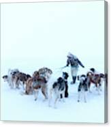 Inuit Hunter And Husky Dog Team #1 Canvas Print