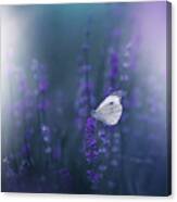Lavender Queen... #1 Canvas Print