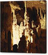 Lehman Caves #1 Canvas Print