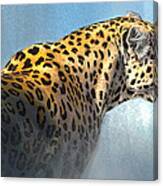 Leopard #2 Canvas Print