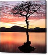 Loch Lomond Sunset #2 Canvas Print