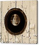 Looking Through Porthole #1 Canvas Print