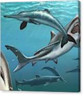 Megalodon Prehistoric Shark #1 Canvas Print