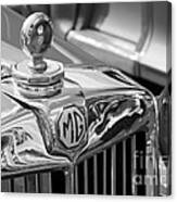 Mg Grille #1 Canvas Print