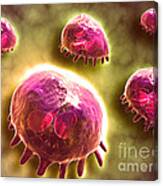 Microscopic View Of Phagocytic #1 Canvas Print
