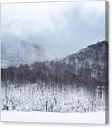 Mont Saint Hilaire Lac Hertel On A Winter Day #1 Canvas Print