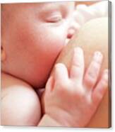 Newborn Baby Breastfeeding #1 Canvas Print