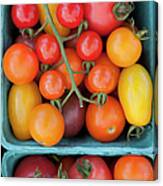 Overhead View Of Tomatoes At A Farmers #1 Canvas Print