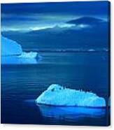 Penguins On Iceberg #1 Canvas Print