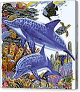 Porpoise Reef #2 Canvas Print