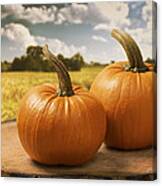 Pumpkins #1 Canvas Print