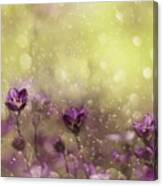 Purple Dream #1 Canvas Print