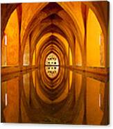 Reflection Of Perfection Canvas Print