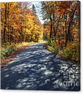 Road In Fall Forest Canvas Print