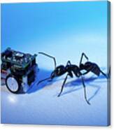 Robotic Ant #1 Canvas Print
