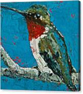 Ruby-throated Hummingbird Canvas Print