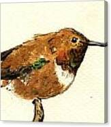 Rufous Hummingbird #1 Canvas Print