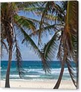 Serene Caribbean Beach Canvas Print