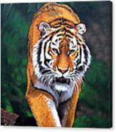 Siberian Tiger #1 Canvas Print