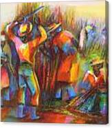Sugar Cane Harvest #1 Canvas Print