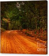 The Long And Winding Road #1 Canvas Print
