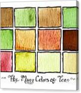 The Many Colors Of Tea 1 Canvas Print