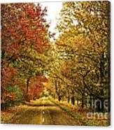 The Road To The Fall #1 Canvas Print