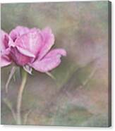 The Rose #1 Canvas Print
