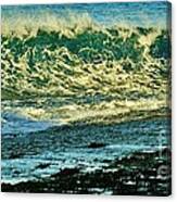 The Wave #1 Canvas Print