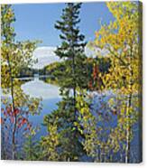 Tobique River New Brunswick Canada #1 Canvas Print