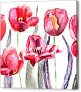 Tulips Flowers  #1 Canvas Print