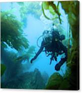 Underwater View Of Scuba Diver #1 Canvas Print