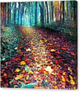 Where Leaves Gather #1 Canvas Print