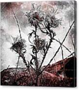 Wildflower11-1 #1 Canvas Print