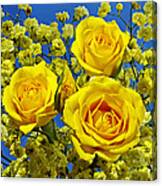Yellow Roses #1 Canvas Print