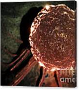 Stem Cells #10 Canvas Print