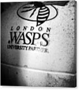 The Wasps Canvas Print