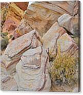 Valley Of Fire #113 Canvas Print