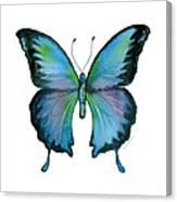 12 Blue Emperor Butterfly Canvas Print